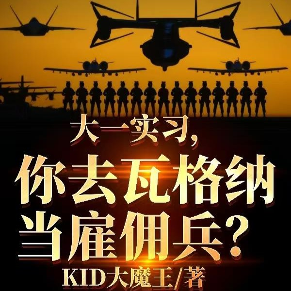 别惹那个雇佣兵，他五行缺大德啊