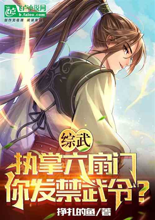 综武：执掌六扇门，你发禁武令？