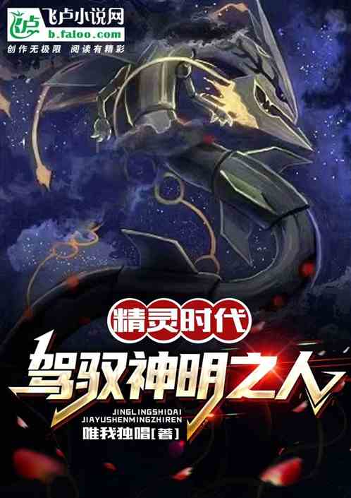 精灵时代：驾驭神明之人