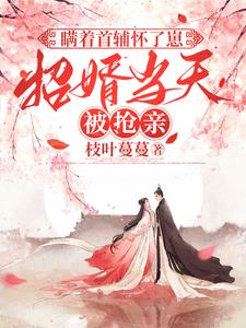 瞒着首辅怀了崽，招婿当天被抢亲