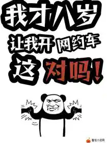 我才八岁，让我开网约车这对吗！
